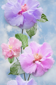 鮮花