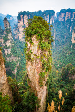 张家界武陵源袁家界悬浮山