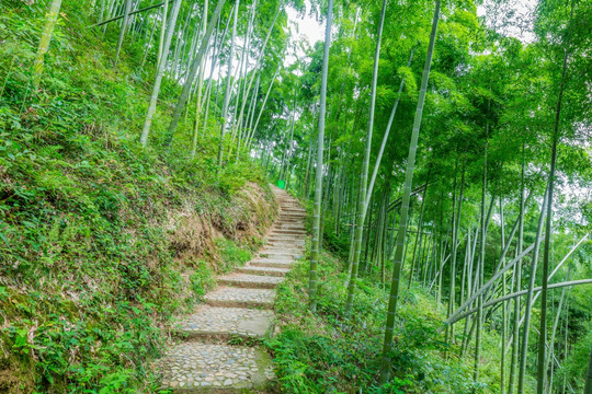 山间小路