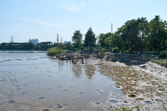 干枯河涌码头