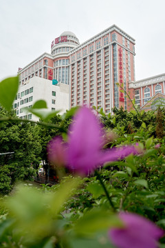 广州珠江医院