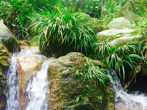 山间清泉