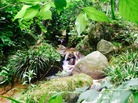 湘阴全域旅游之鹅形山风景区