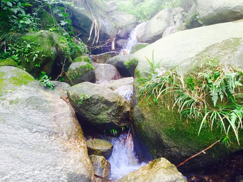 湘阴全域旅游之鹅形山风景区