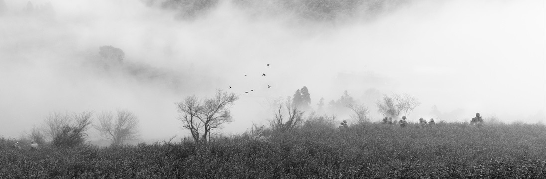 画意山水风光