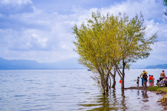 抚仙湖湿地