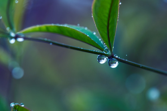 雨滴