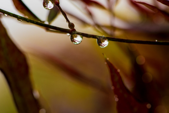 雨滴