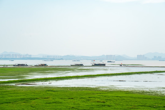 洞庭湖景