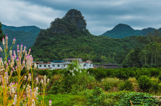 山岭风光