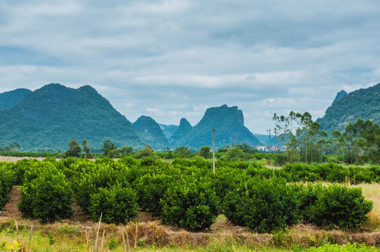 山岭风光