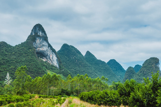 山景风光