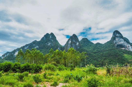 山景风光