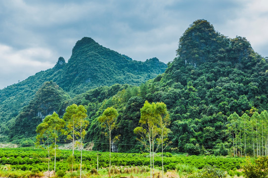 山景风光