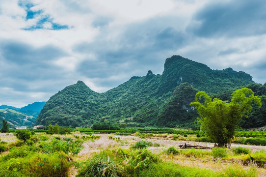 山景风光