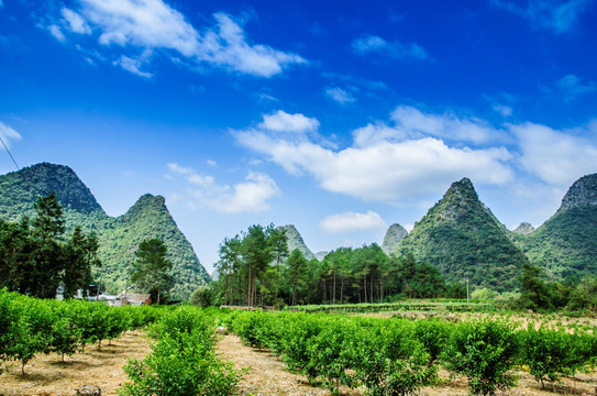 山景风光