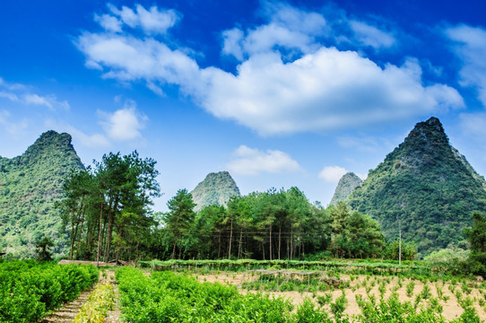 山景风光