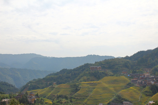 龙胜梯田风景