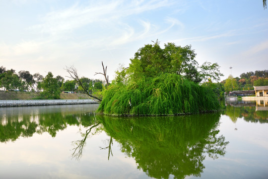 湖中绿岛