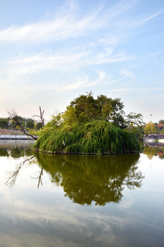 湖中绿岛