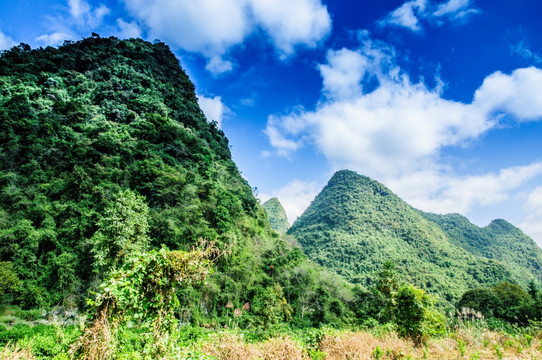 山景风光