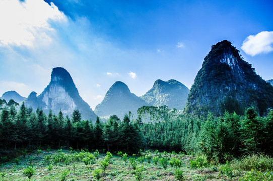 山景风光