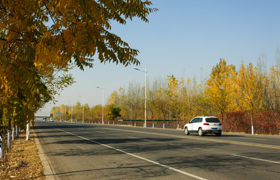 公路 铁路