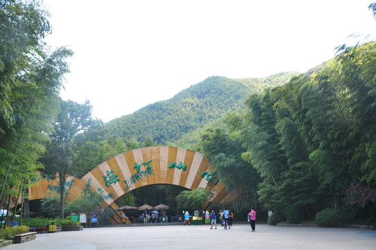 南山竹海风景区