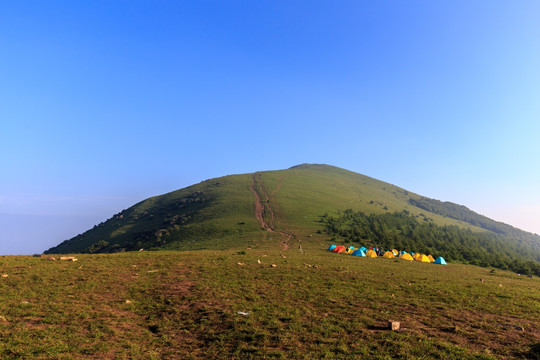 北京延庆海坨山高山草甸