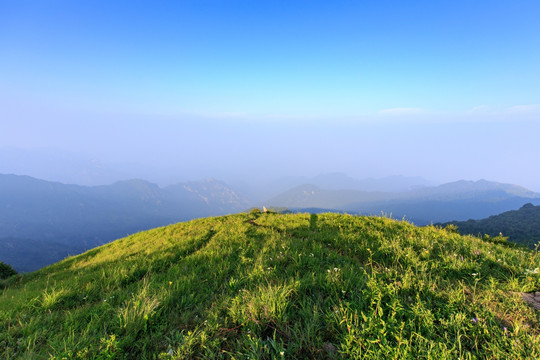 北京延庆海坨山高山草甸