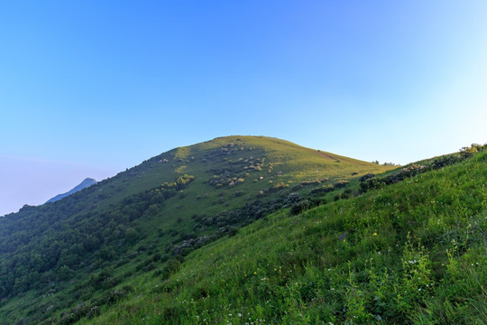 北京延庆海坨山高山草甸