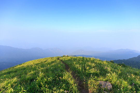 北京延庆海坨山高山草甸