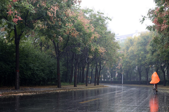 初秋下雨的路上