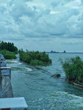 阳澄湖畔风景