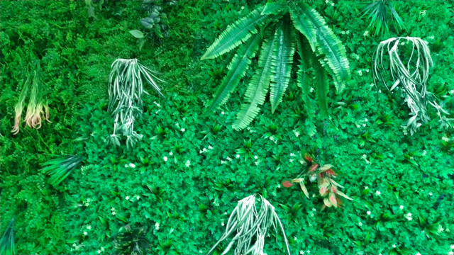 仿真植物墙