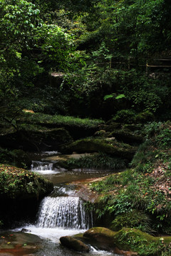 小溪流水