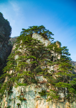 张家界武陵源天子山