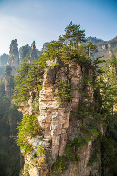 张家界武陵源天子山