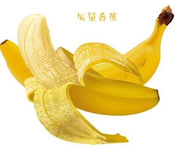 矢量減肥必備美味香蕉背景圖片