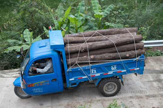 木材运输