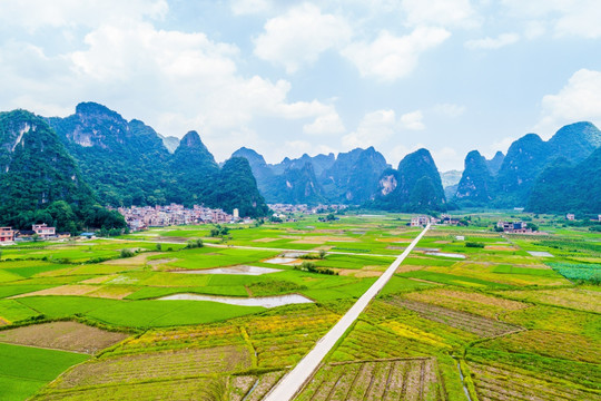 田间小路