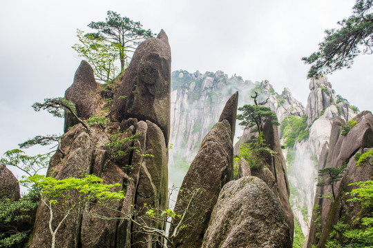 黄山风光