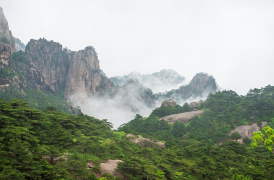 黄山云雾缠绕