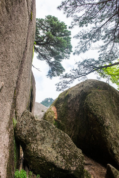 黄山巨石