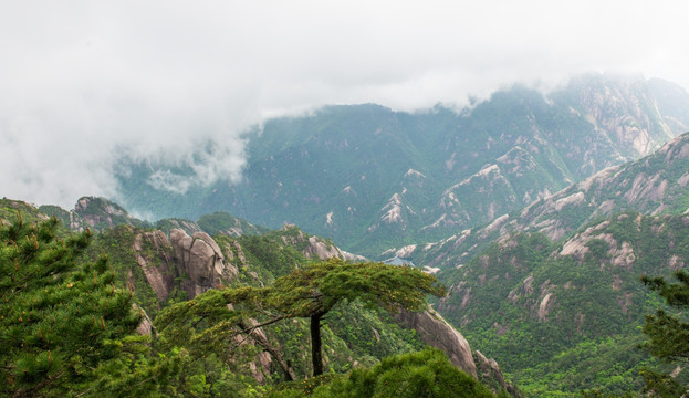 黄山云雾缠绕