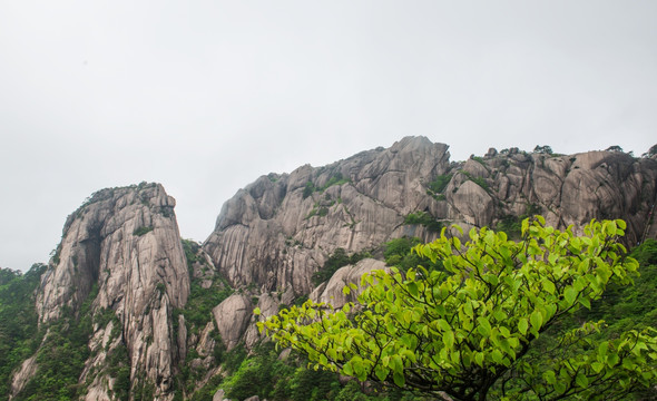 黄山风光