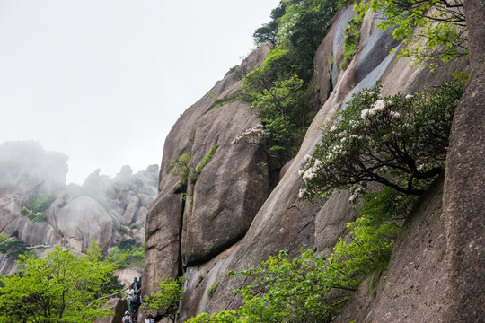 黄山悬崖峭壁