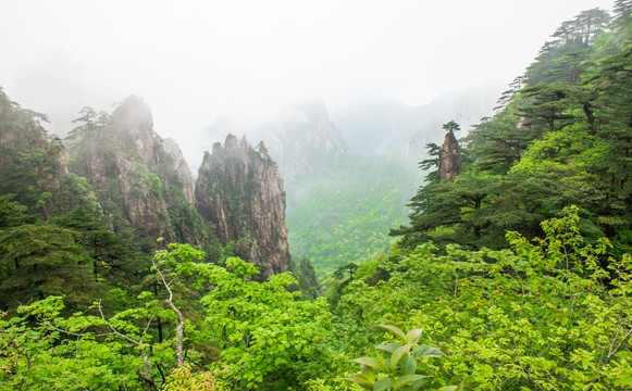 黄山云雾缠绕