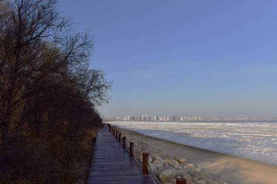 海滩雪景