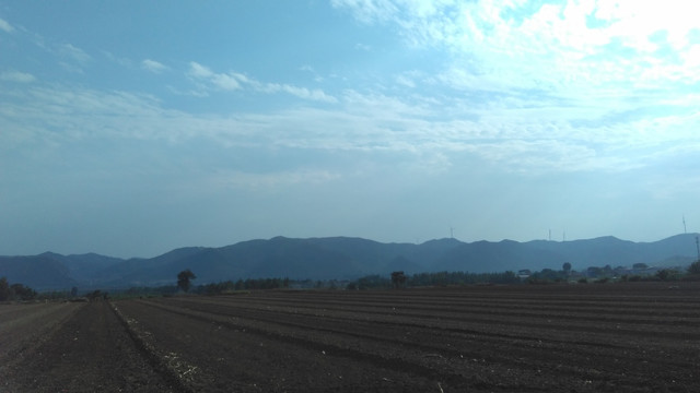 淇阳城麦田